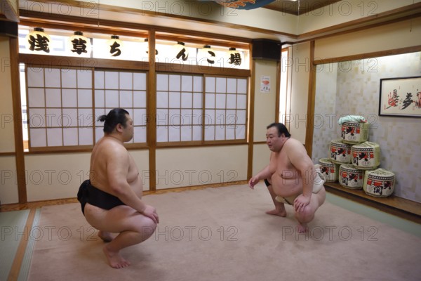 Sumo wrestler during training, Asakusa, Tokyo, Japan, Asia