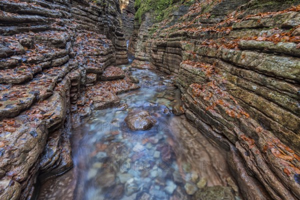 Taugl, Tauglbach flows through gorge, Tauglbachklamm, autumn, Tennengau, Bad Vigaun, Salzburger Land, Austria, Europe