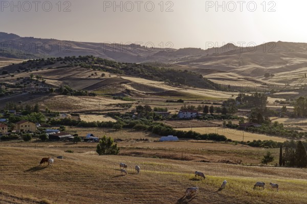 Landscape near the Sicilian village of Sperlinga near Nicosia. Sicily, Italy, Southern Europe, Europe
