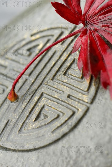 Japanese Maple leaf and Japanese emblem in stone, esotericism, symbol Japanese maple, leaf, and Japanese stone sign, sign in stone, esotericism, symbol