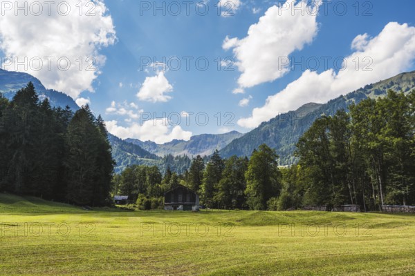 Mown meadow in Klöntal, Canton Glarus, Switzerland, Europe