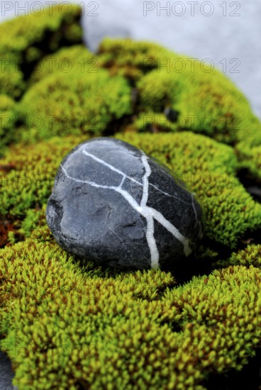 Stone on moss