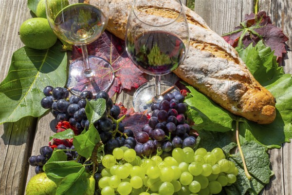 Symbolic image of grape grape harvest: Ripe grapes decorated with wine glasses on a wooden table