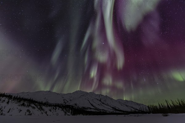 Green, yellow and purple northern lights (aurora borealis) over snowy mountains, northern lights storm, Brooks Range, Alaska, USA, North America