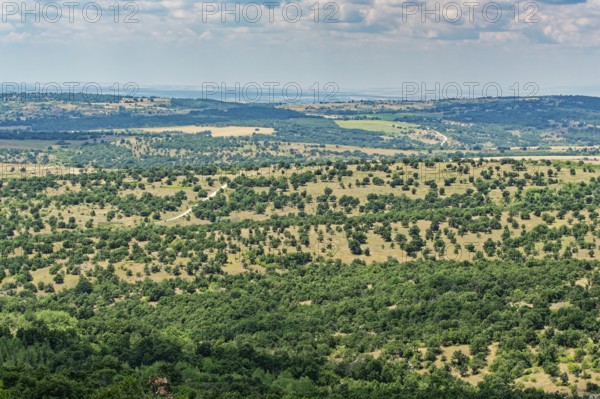 Barren landscape in the Chaskovo oblast in south-east Bulgaria. Lyubimets, Bulgaria, South-East Europe, Europe