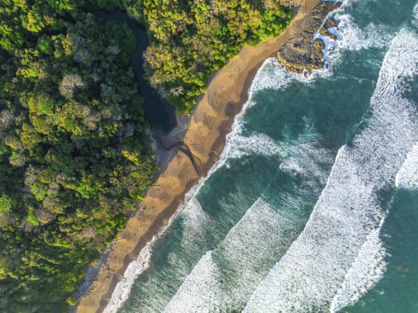 Aerial view, top-down, rainforest, sandy beach and coast with waves, Playa Cocalito, Puntarenas, Costa Rica, Central America
