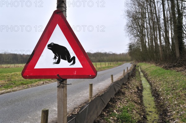 Warning sign and barrier with buckets for migrating amphibians, common toad (Bufo bufo) crossing the road during the annual spring migration