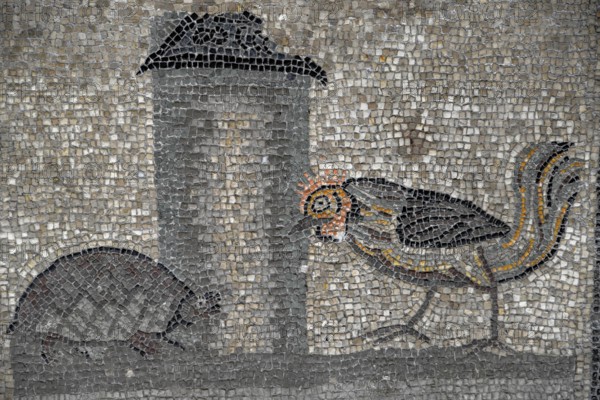 Early Christian floor mosaic from the 4th century, Basilica Santa Maria Assunta, Unesco World Heritage Site, Aquileia, Friuli Venezia Giulia Region, Italy, Europe