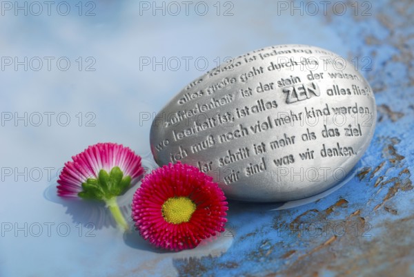 Poetry stone with ZEN text and daisies, daisies, poetry