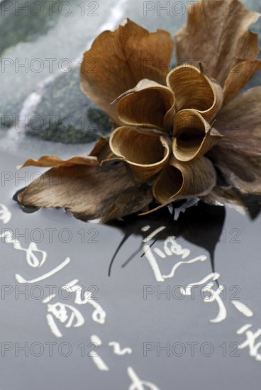 Dried flower, Japanese characters