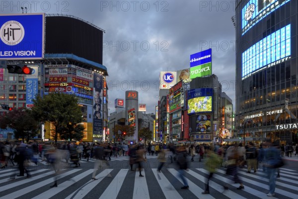 People cross the Shibuya crossroads, most frequented crossroads in the world, Shibuya, Tokyo, Japan, Asia