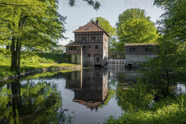 Brüningmühle, old water mill on the Vechte, Schöppingen, North Rhine-Westphalia, Germany, Europe