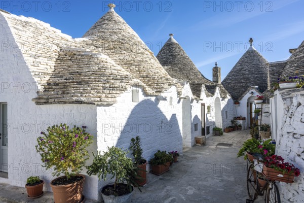 The beautiful trulli houses of Alberobello in Apulia, Italy, Europe