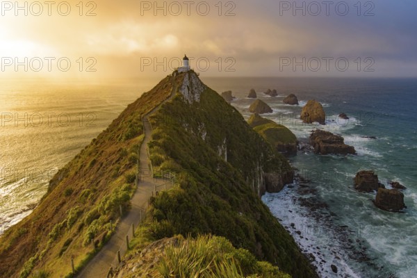 Nugget Point and lighthouse with sunrise at South Island, New Zealand, Oceania