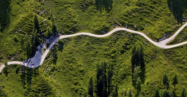 Hiking trail between green meadows in the mountains