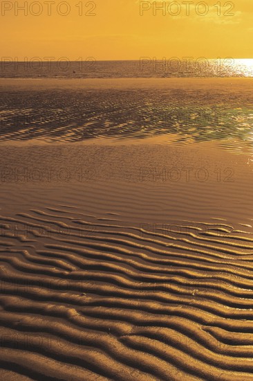 Sunset in the Wadden Sea, East Frisia, North Sea coast, North Sea coast, Lower Saxony, Federal Republic of Germany