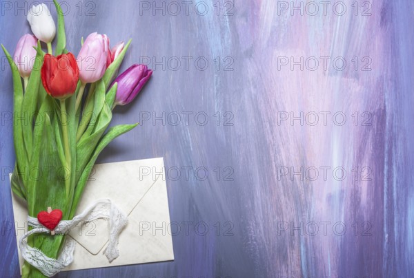 Bouquet of colorful tulips tied with a lace ribbon and a wooden clip with a red heart, and a closed envelope, on a purple wooden background