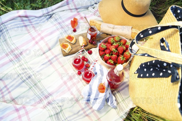 Basket, sandwiches, plaid and juice in a poppy field. Vintage tender background. Romance, love, date
