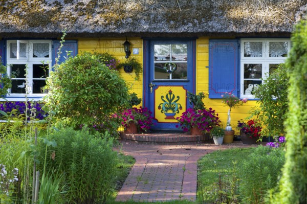 Thatched house in Born