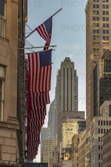 A picture of a row of American flags in the streets of New York
