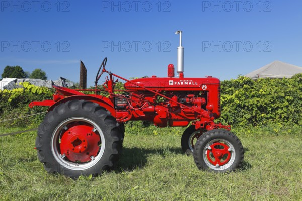 Vintage farm truck, farm event, Hinchinbrook, Province of Quebec, Canada, North America