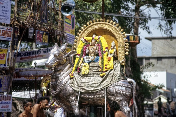 Procession during Arudra Dharshan festival in Thillai Nataraja temple in Chidambaram, Tamil Nadu, South India, India, Asia
