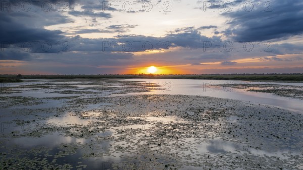 Danube Delta Sunset
