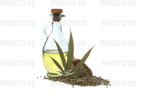 Hemp (Cannabis sativa) leaf in front of cannabis oil in glass decanter and hemp seeds isolated on white background. Benefits and uses of hemp