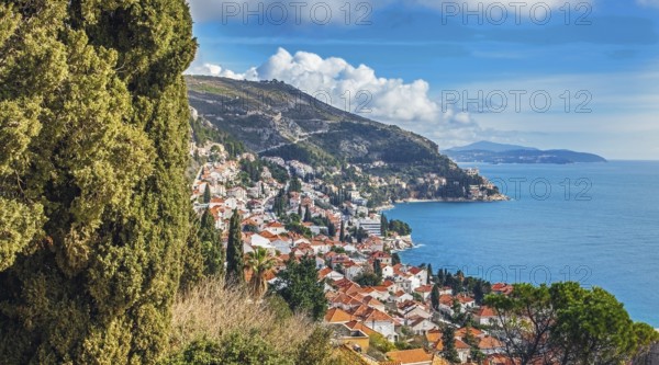 View of the harbor and the old town of Dubrovnik Croatia