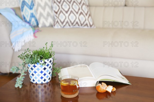 Pot with succulent plants and opened book with the tea on wooden table. Cozy room interior