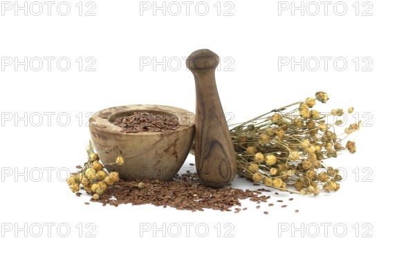 Flaxseed in wooden rustic-style mortar with pestle and bunch of flax plants isolated on white background