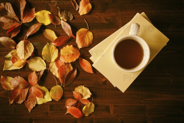 Cup of tea, books and autumnal foliage in vintage style over a table seen from above