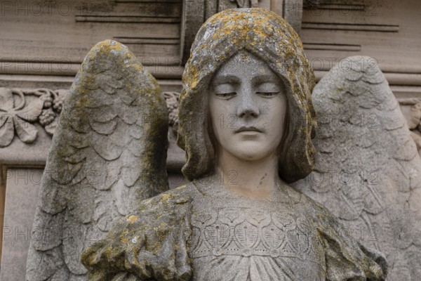 Angel, Roig family aedicule, Sineu, municipal cemetery, Mallorca, Balearic Islands, Spain, Europe