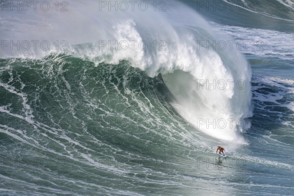 A surfer rides a crashing wave, Nazaré, Portugal, Europe