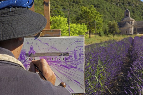 Art painter in lavender field, Senanque Abbey, Gordes, Provence, South of France, lavender, lavender field, easel, painter, paint