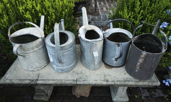 Several od rustic metal watering cans on a bench with green plants behind