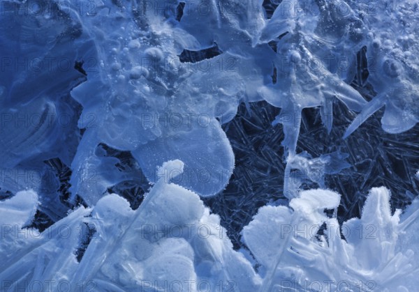 Ice formations, Brandenberger Ache, Kramsach, Kufstein District, North Tirol, Tirol, Austria, Europe