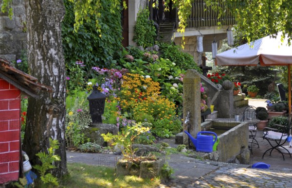 Perennial garden, garden fountain in the garden