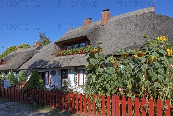 Captain's houses in Prerow