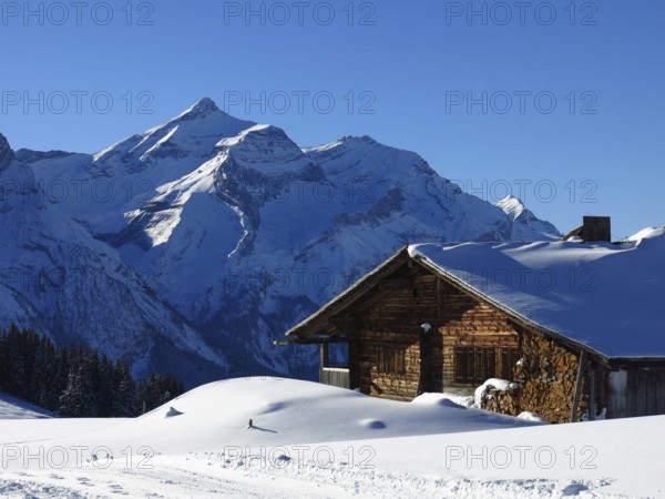 Snow covered Oldenhorn and facade of a old farmhouse, winterscene near Gstaad