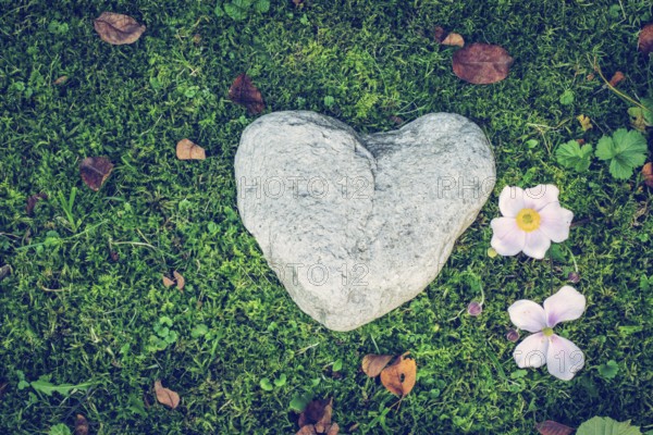 Heart concept: Stone in heart shape is lying on the green grass