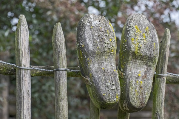 Old clogs on your fence