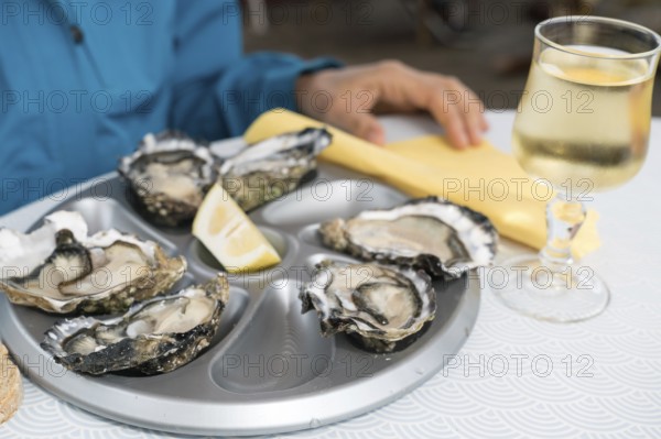A close up of delicious fresh oysters on the half shell with a glass of French white wine