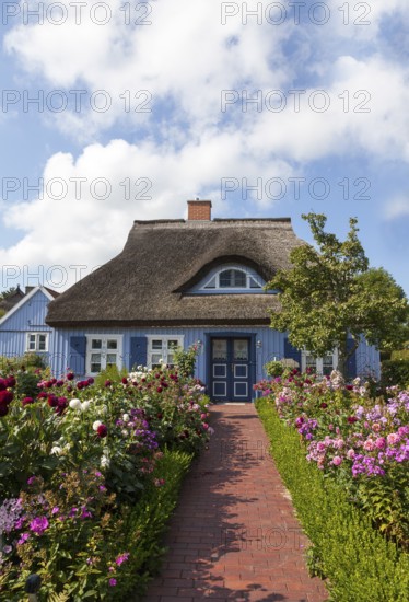 Thatched wooden house in Born