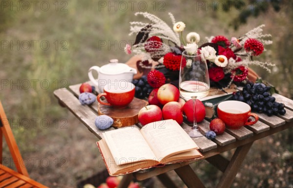 Opened book and glass of wine placed near dishware and bouquet of fresh flowers amidst assorted fruits on wooden table on autumn day in garden