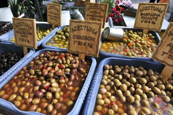 Variety of olives on display, Alcudia, Majorca (Mallorca), Balearic Islands, Spain, Europe
