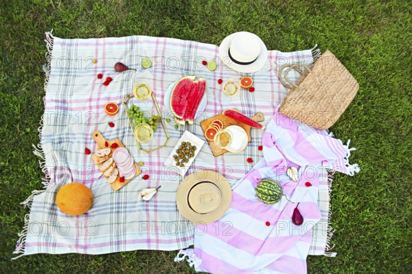Picnic background with white wine on green grass
