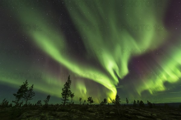 Northern Lights (Aurora borealis), Gällivare, Norrbotten, Lapland, Sweden, October 2013, Europe