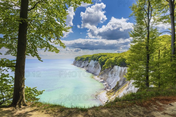 Chalk cliffs on the coast of the Baltic Sea on the island of Rügen