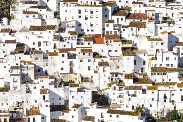 Casares, Spain - 27. January 2021: detail view of the whitewashed houses in the village of Casares in Andalusia